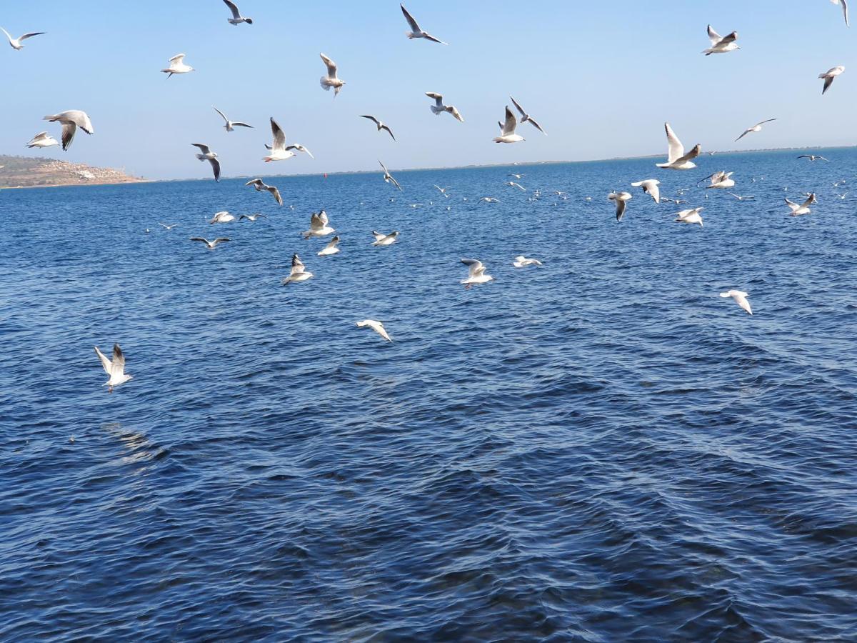 Apartment Ayoub -For Families Only- Nador Ngoại thất bức ảnh